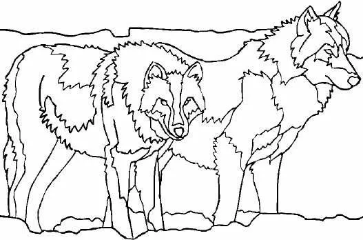 Índice de dibujos: lobos
