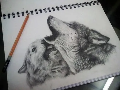Como dibujar lobos aullando a lapiz - Imagui