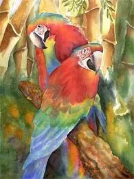 Dibujos de loros. Dibujos infantiles para colorear de loros Dibujos de loros. Dibujos infantiles para colorear de loros