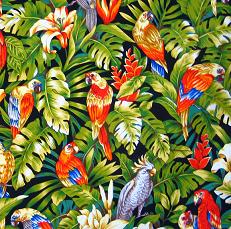 Dibujos de loros. Dibujos infantiles para colorear de loros Dibujos de loros. Dibujos infantiles para colorear de loros