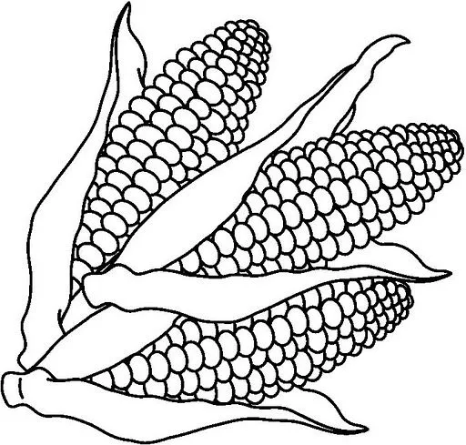 DIBUJOS DE MAIZ PARA COLOREAR