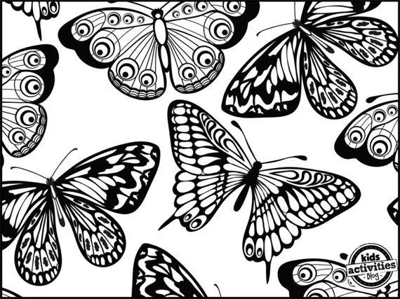 Dibujos de mariposa para colorear #kids #colour #butterfly ...