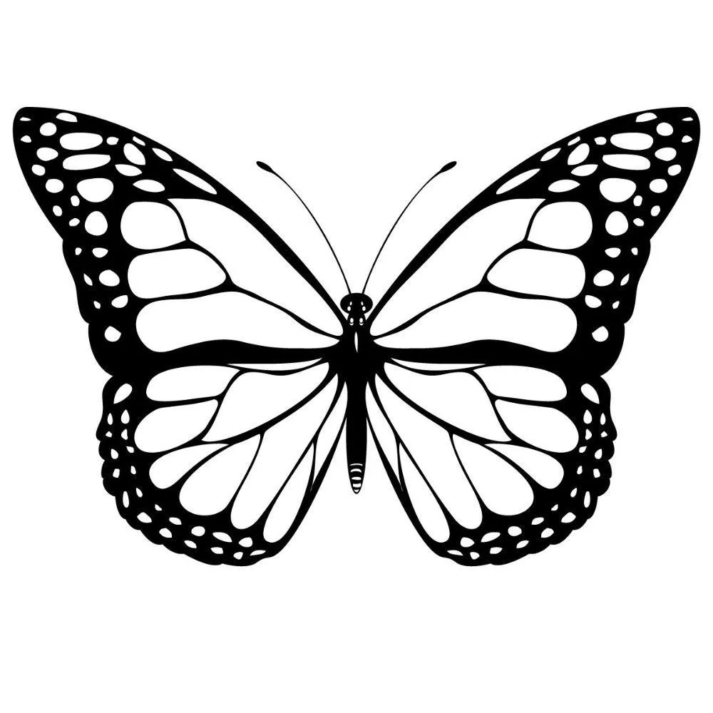 Dibujos de mariposas en blanco y negro | Fondos | Pinterest ...