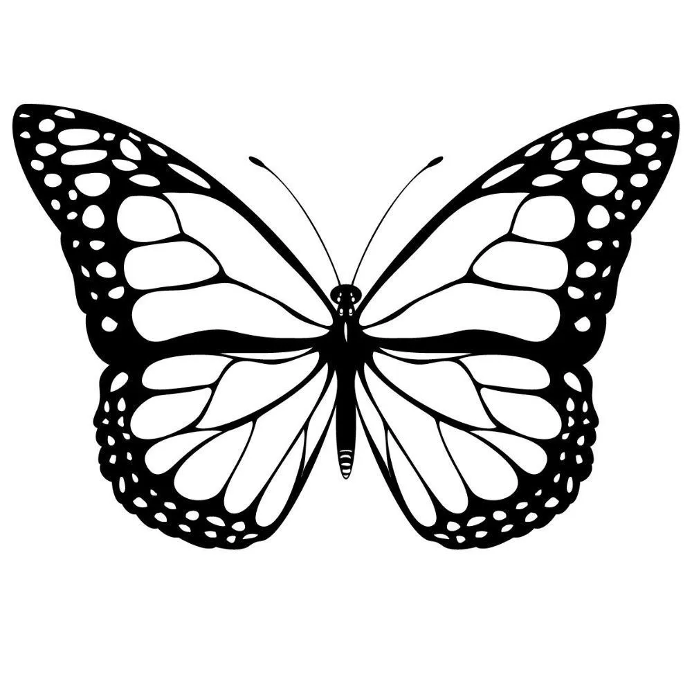 Dibujos de mariposas en blanco y negro | Fondos | Pinterest ... Dibujos de mariposas en blanco y negro | Fondos | Pinterest ...