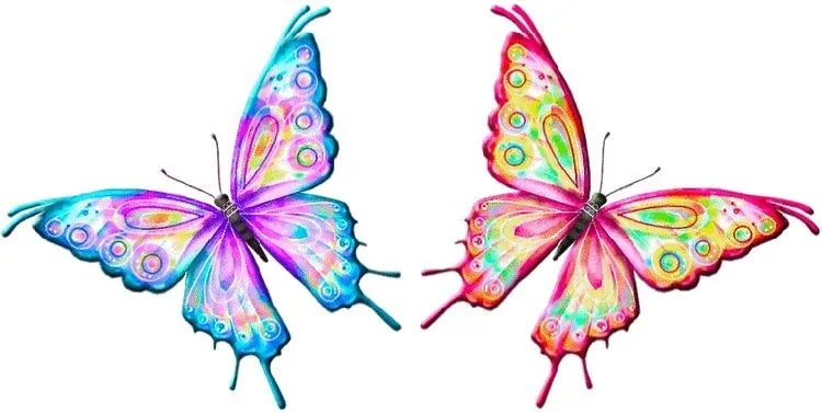 Dibujos de mariposas con colores - Imagui