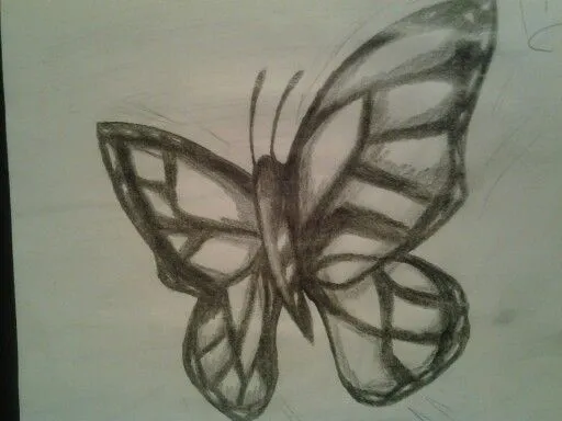 Dibujos de mariposas con lapiz - Imagui