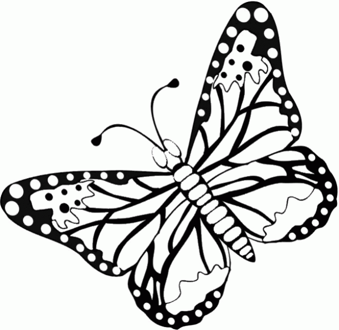 Imagenes de mariposas y libelulas para imprimir - Imagui