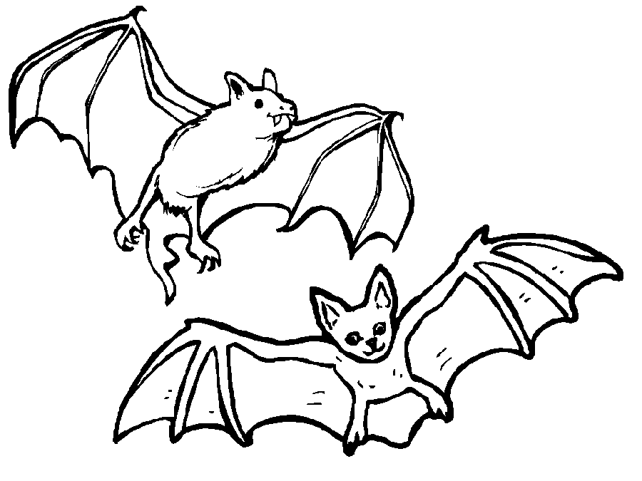 Dibujos de murciélagos para colorear