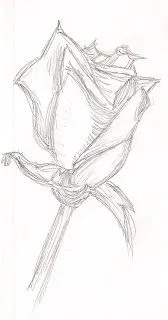 Dibujos de oficina: También puedo dibujar una flor Dibujos de oficina: También puedo dibujar una flor