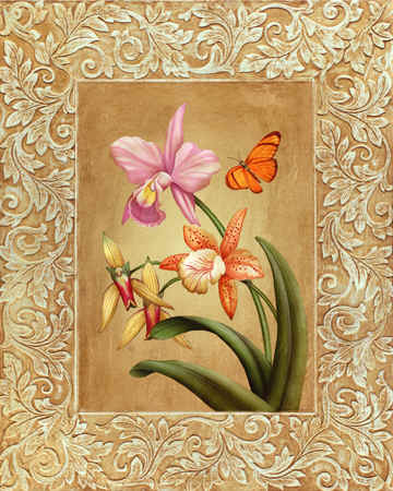 dibujos de orquideas para imprimir - Imagenes y dibujos para imprimir