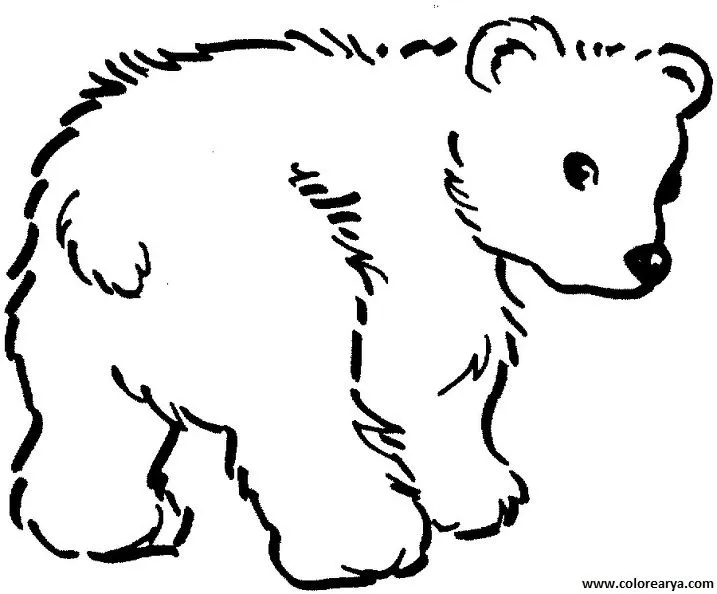 Dibujos de osos para niños - Imagui