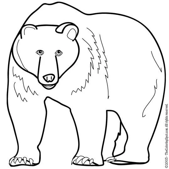 Dibujo oso de anteojos para colorear - Imagui