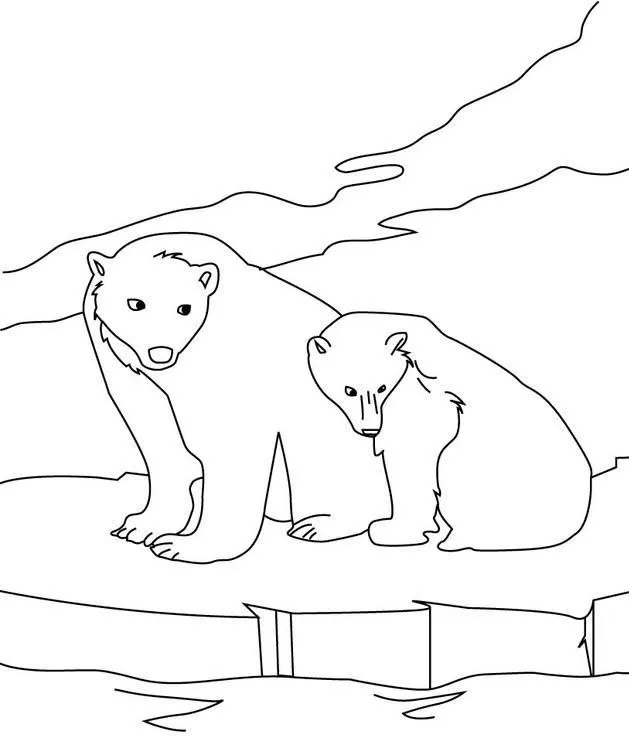 Dibujos de osos polares | OSOPOLARPEDIA