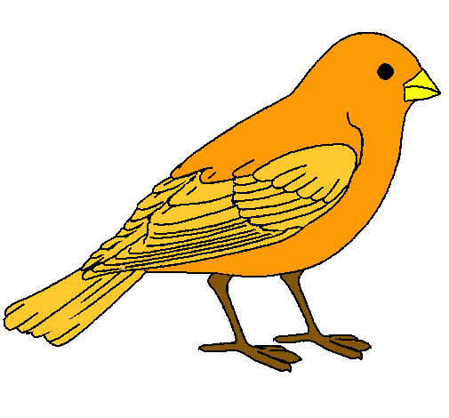 Pájaro dibujo animado - Imagui