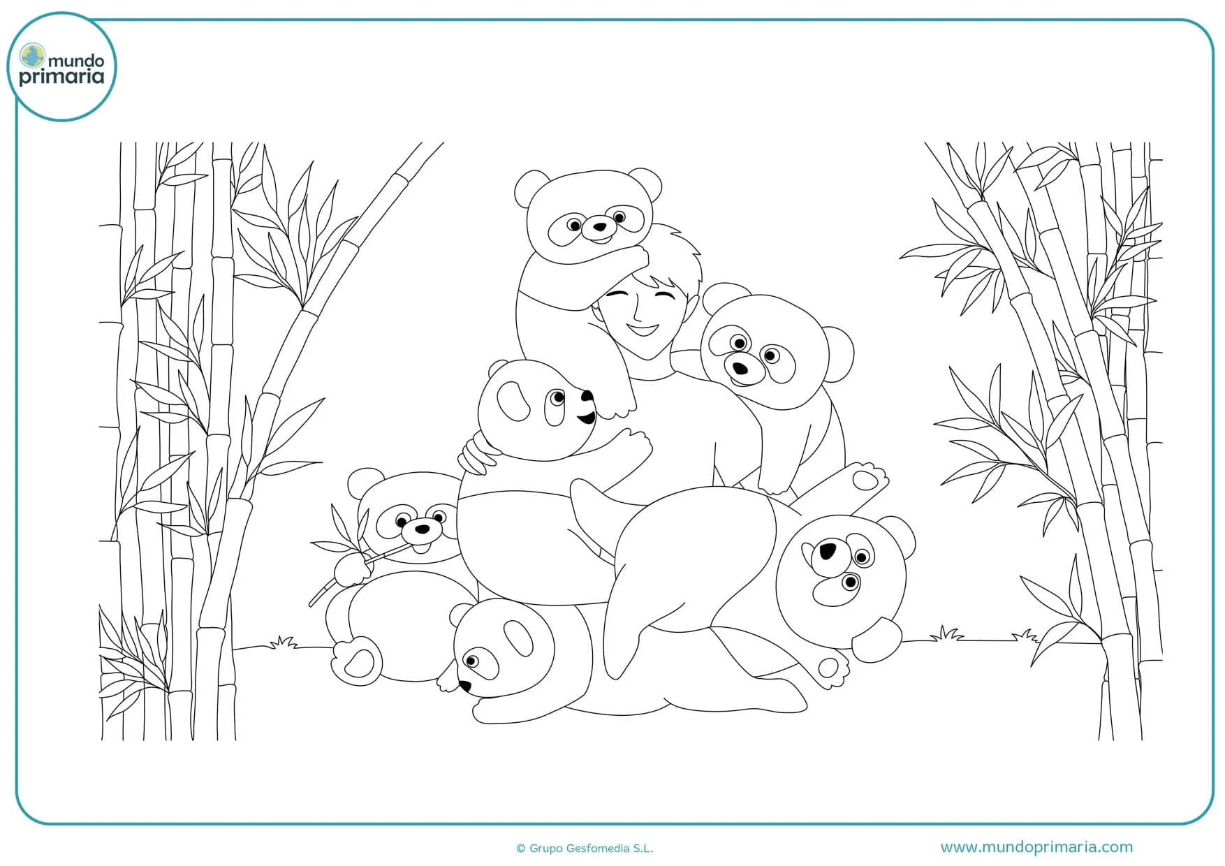 ▷ Dibujos de Pandas para Colorear 【 ADORABLES ❤】