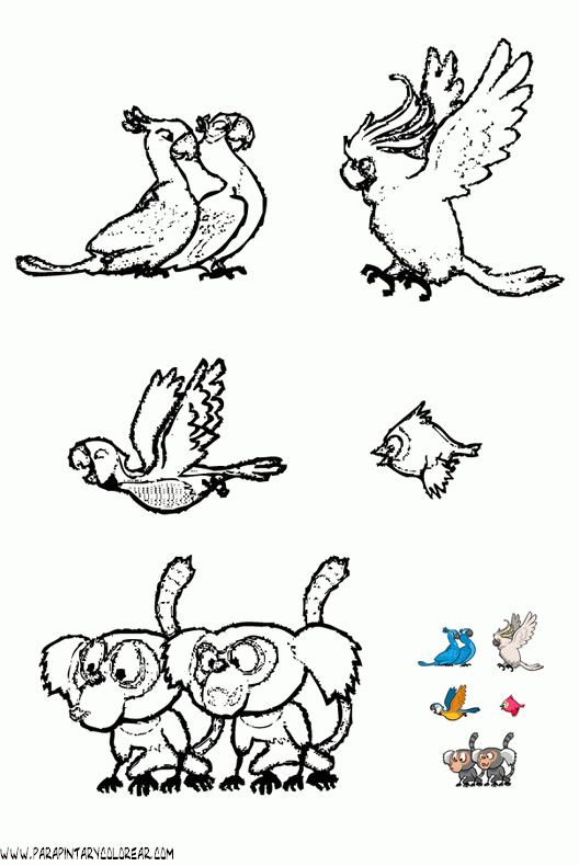 dibujos-para-colorear-de-angry-birds-003