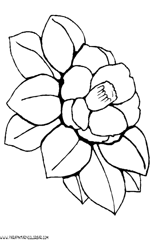 dibujos-para-colorear-de-flores-031