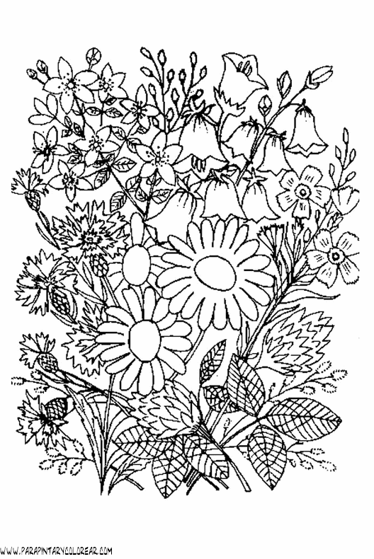 dibujos-para-colorear-de-ramos-de-flores-017