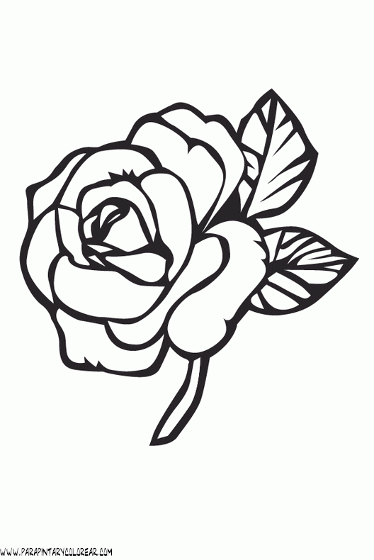Dibujos con rosas - Imagui