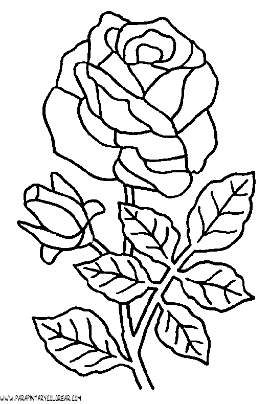 dibujos-para-colorear-de-rosas-007