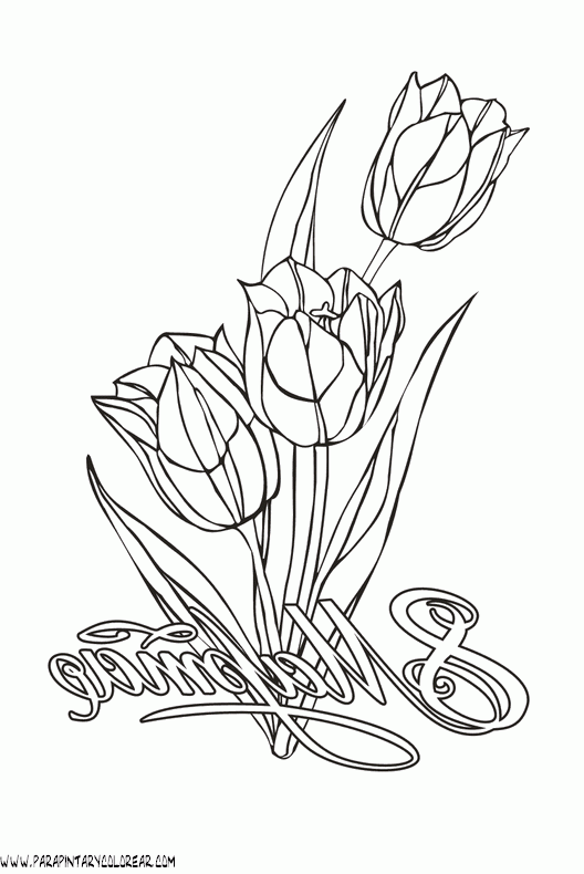 dibujos-para-pintar-de-flores-tulipanes-023 dibujos-para-pintar-de-flores-tulipanes-023