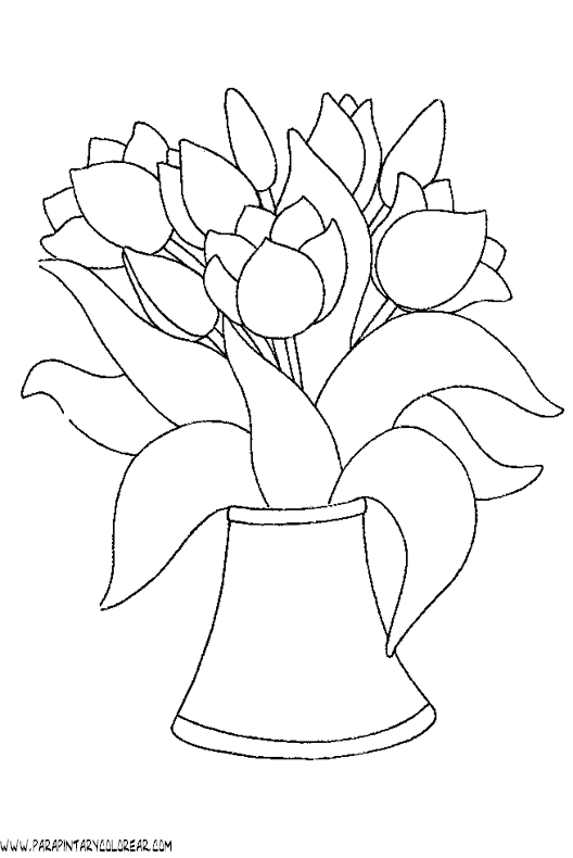 Tulipan para pintar - Imagui