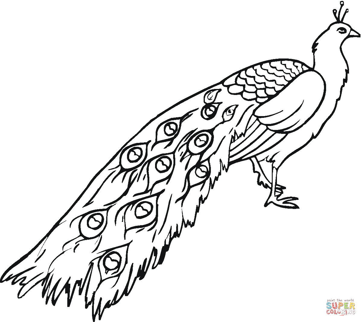 Dibujos de Pavos reales para colorear - Páginas para imprimir y ... Dibujos de Pavos reales para colorear - Páginas para imprimir y ...