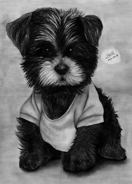 Dibujos de perros tiernos a lápiz - Imagui