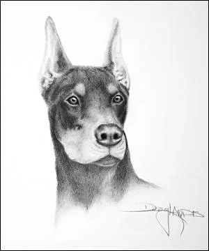 ... Dibujo > Ilustraciones a lápiz de Doug Landis - Perro ... Dibujo > Ilustraciones a lápiz de Doug Landis - Perro