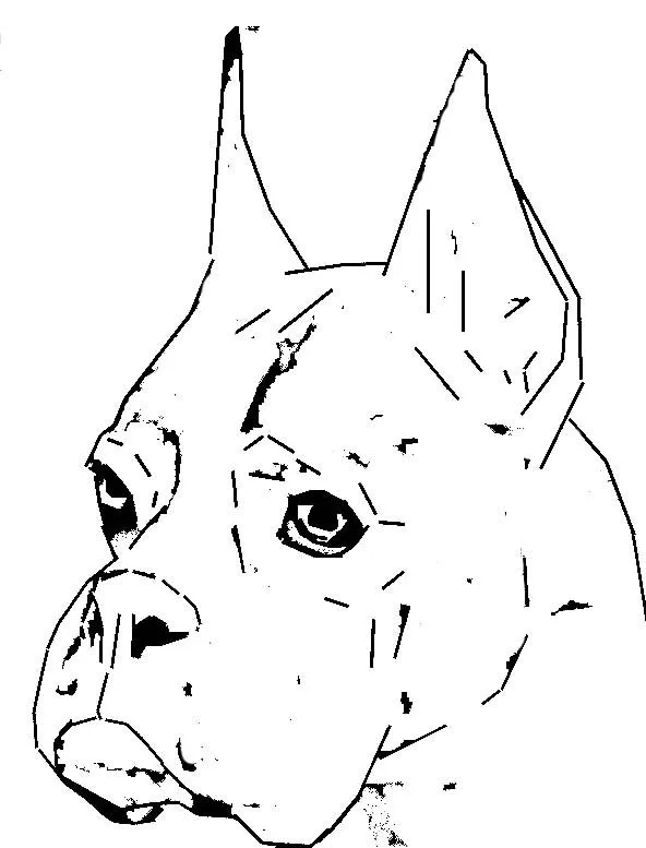Dibujos de perros boxer para colorear - Imagui