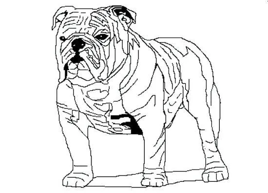 Un perro bulldog dibujado - Imagui