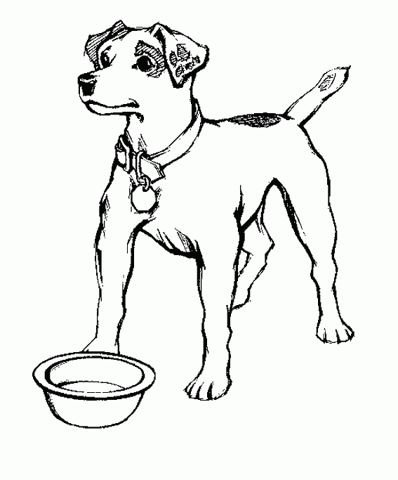 Dibujos de perros para colorear. Dibujos de razas de perros para ...