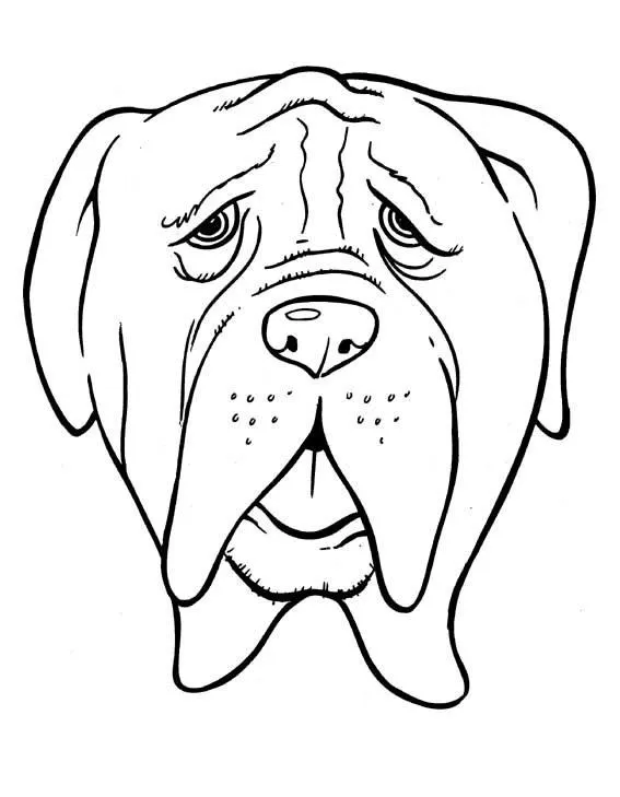 Dibujos de perros para colorear. Dibujos de razas de perros para ...