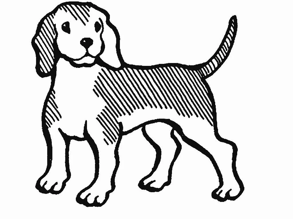 Dibujos faciles de perros - Imagui