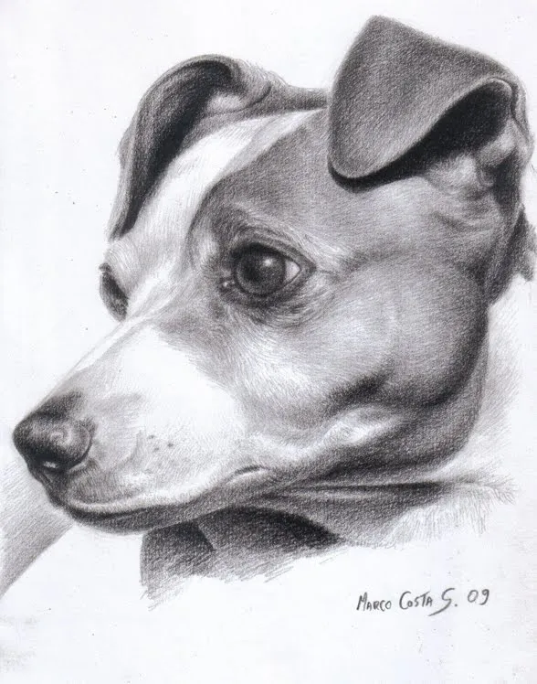Dibujos de perros con lapiz - Imagui