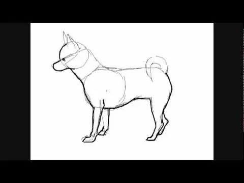 Dibujos de perros : perro Chihuahua - Dibujos para Pintar - YouTube