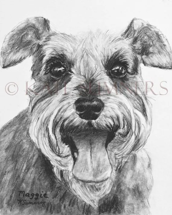 Schnauzer lámina de arte dibujo perro 8 x 10 por ESArt en Etsy