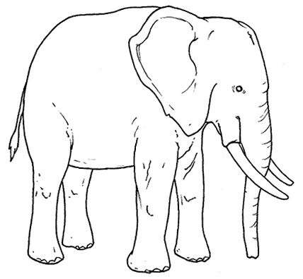 El elefante africano Para colorear. - Imagui