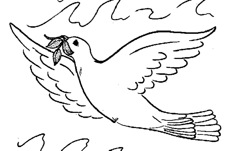 Dibujos para colorear de palomas - Imagui