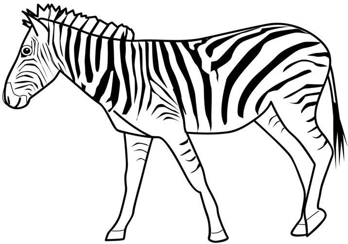 Dibujos para colorear de Cebras, Zebra, Equidae, Plantillas para ...