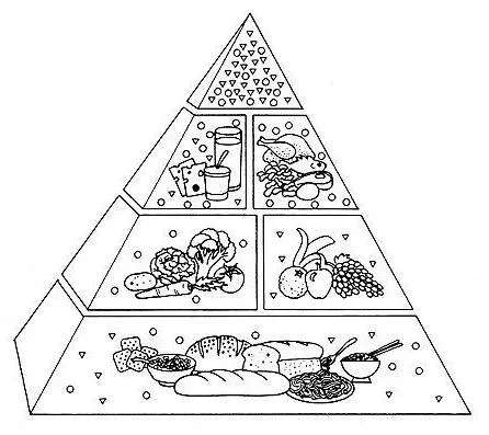 Dibujo piramide alimenticia para niños - Imagui