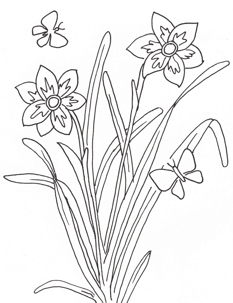 Dibujos de plantas para colorear. Dibujos de plantas infantiles para pintar