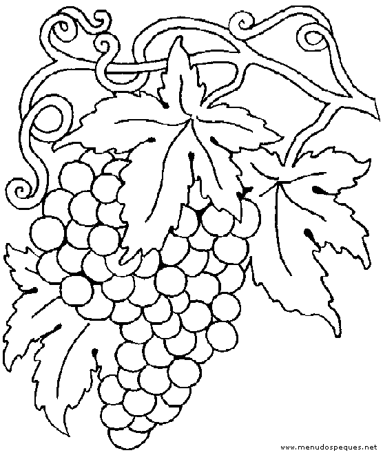 Dibujos de plantas trepadoras para colorear - Imagui