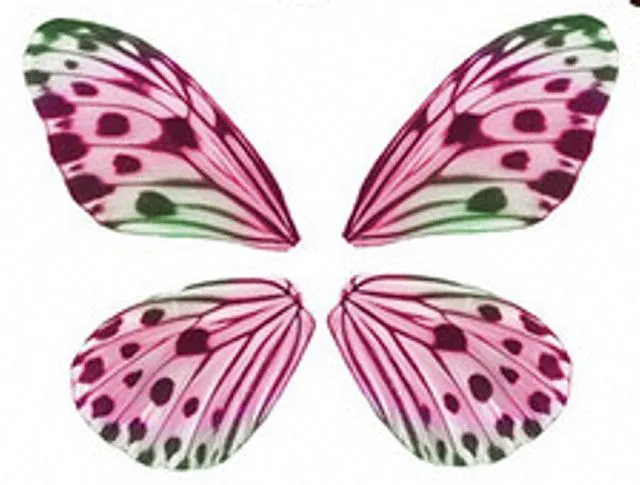 Dibujos y Plantillas para imprimir: Alas mariposas para hadas ...