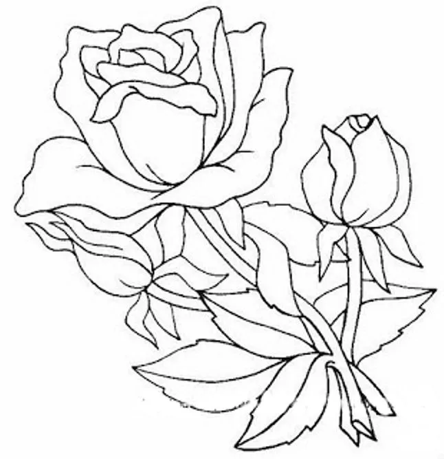 Dibujos y Plantillas para imprimir: rosas