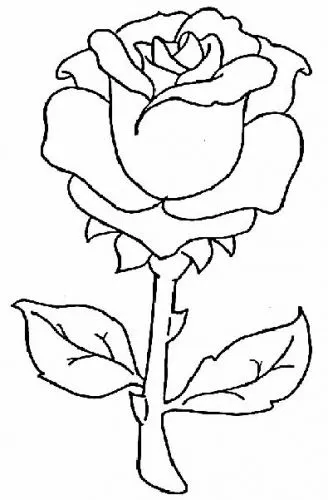 Imagen dibujo de rosa para bordar (para Guadalupe) - grupos.emagister ... Imagen dibujo de rosa para bordar (para Guadalupe) - grupos.emagister ...