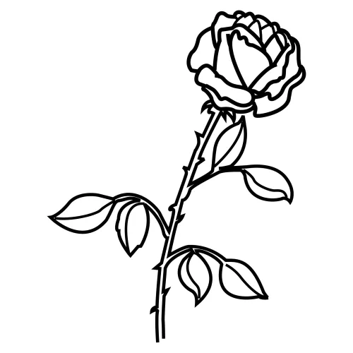 Dibujos de rosas con espinas - Imagui
