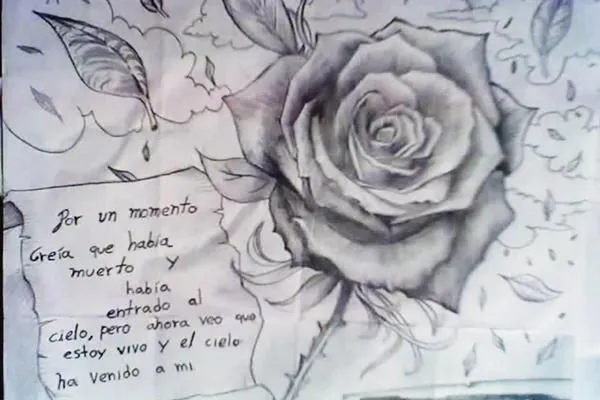 dibujos de rosas a lapiz | my penting | Pinterest