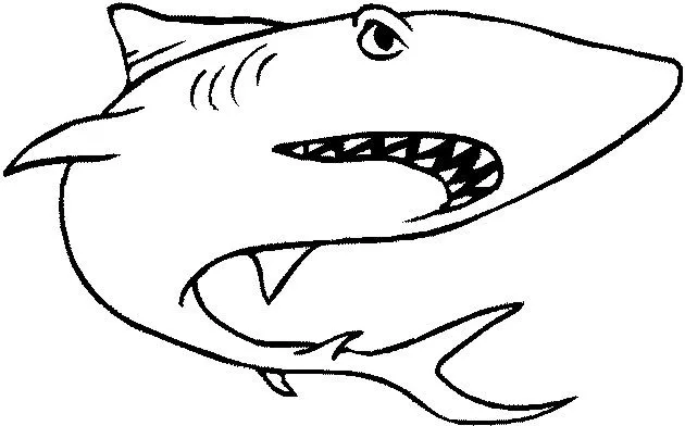 Índice de dibujos: tiburones
