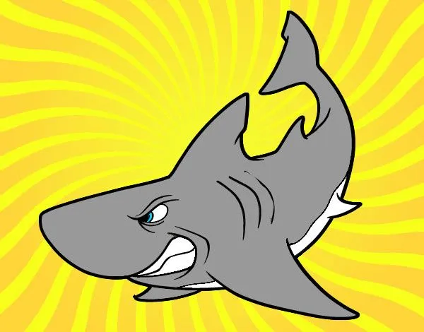 Dibujos de Tiburones para Colorear - Dibujos.net